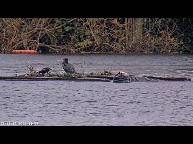 Hampstead Heath Pond Camera