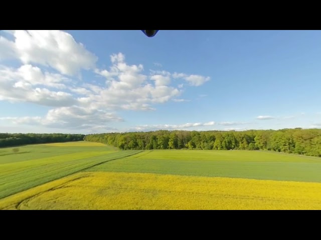 Rapeseed season 2019 in 180VR