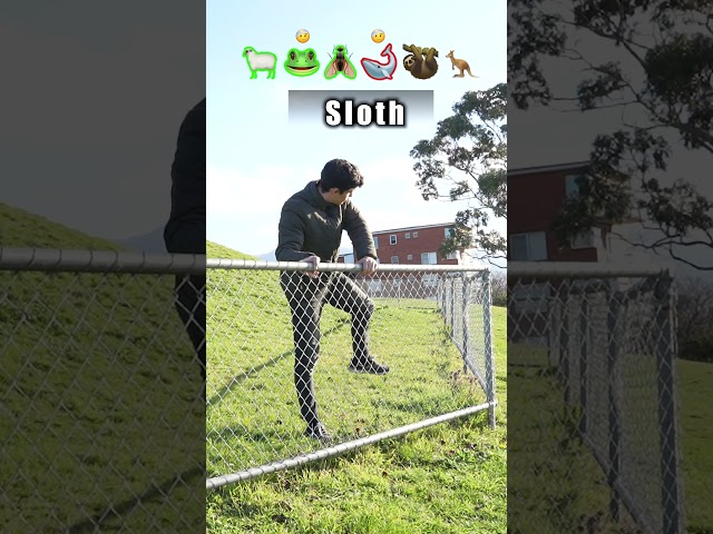 How Animals Get Over a Fence (With Emojis) 😂