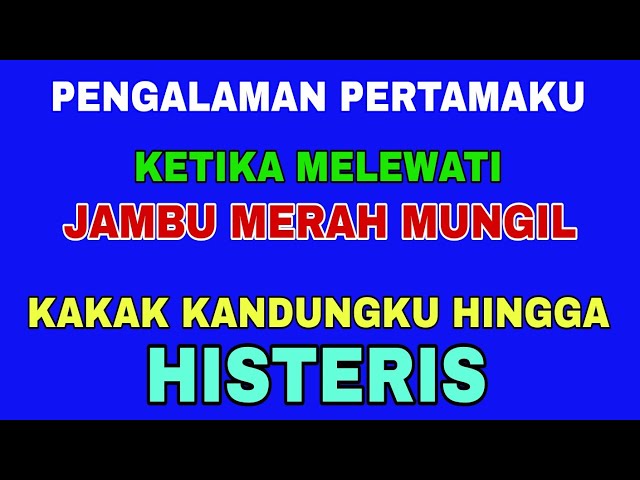 Berawal Ketika Kakaku Salah Masuk Kamarku || Kisah Nyata Terbaru