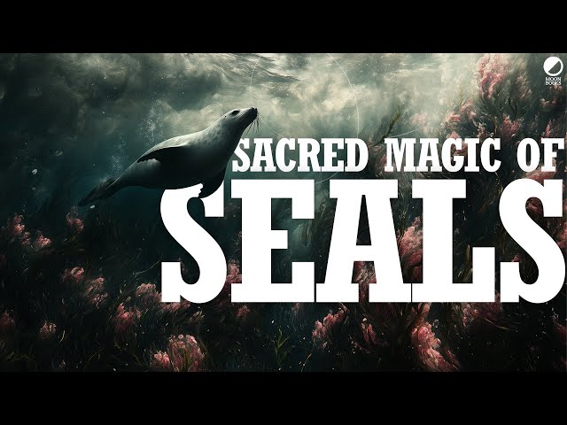 Unlocking the Sacred Magic of Seals Through Paganism