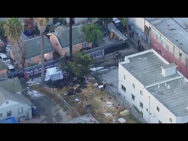 Body found after tree fire in South LA