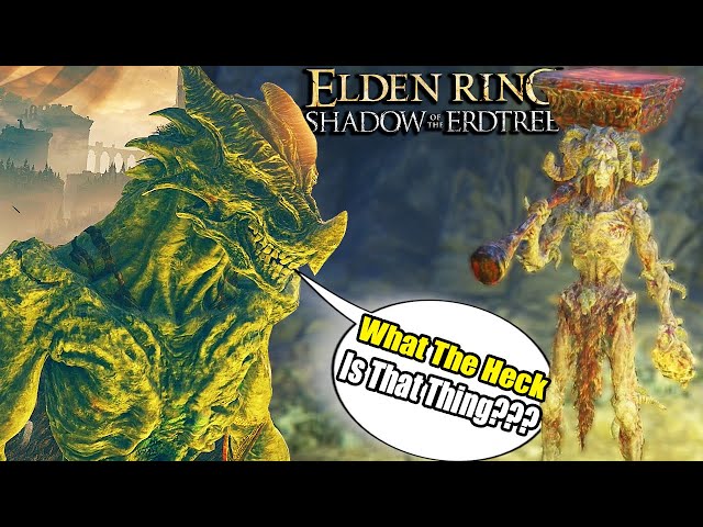 NEW Dragon Form & THE FINAL AREA - Elden Ring Shadow Of The Erdtree Gameplay (Part 15)