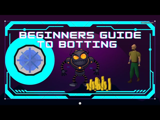 Beginners Guide to Botting OSRS