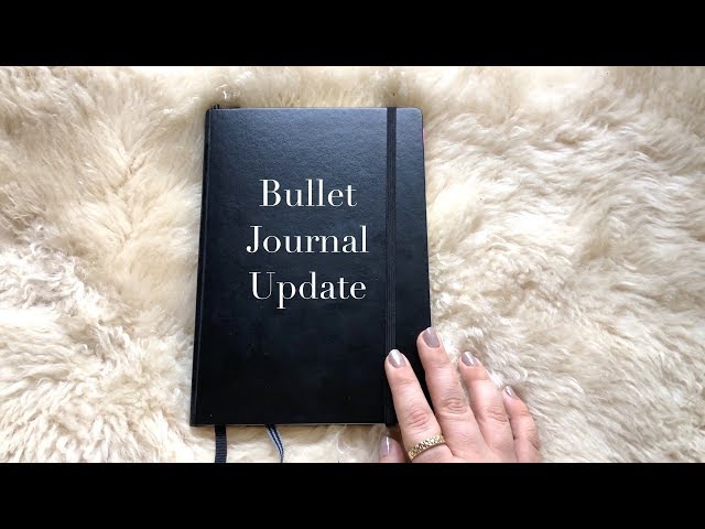 Bullet Journal Update & FlipThrough | 2018 Planner Prep