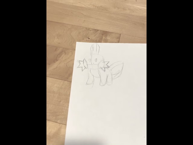 drawing mudkip: pt 1