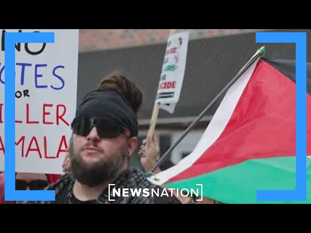 Pro-Palestinian delegates demand to be heard at the DNC | Dan Abrams Live