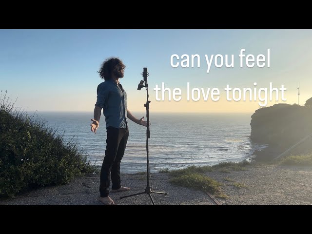 can you feel the love tonight [bass vocalist cover]