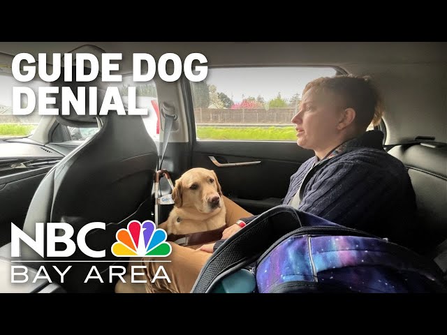 Uber, Lyft drivers constantly cancel on blind passengers with guide dogs, San Jose teacher says