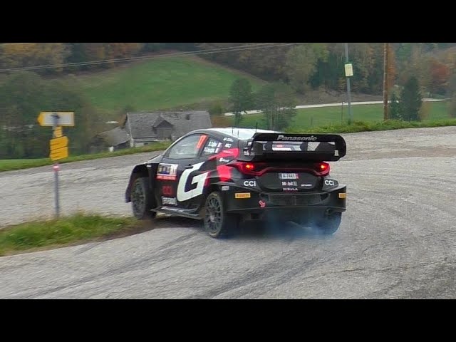 Central European Rally 2024 - SS 13