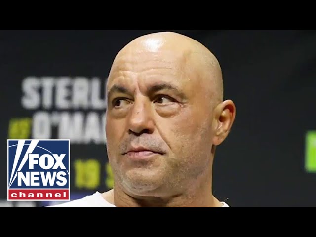 Joe Rogan endorses Trump