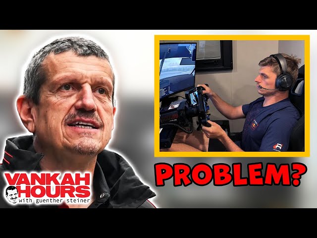 Guenther Steiner On Max Verstappen's Sim Racing Controversy