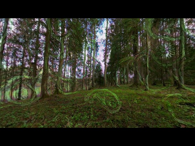 Tripping at nearby forest (3DVR experiment)