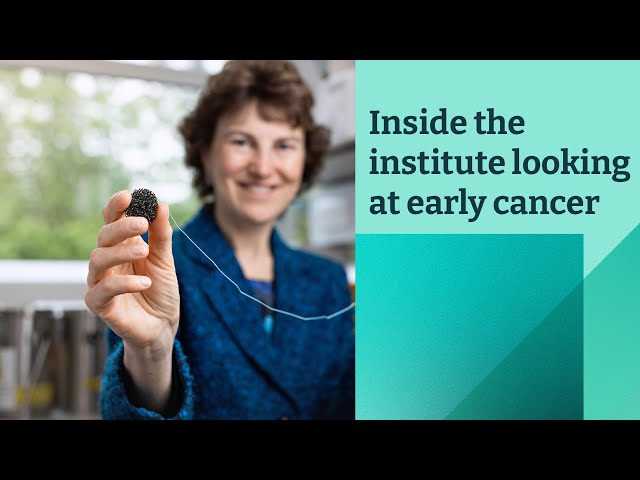 Inside the institute looking at early cancer