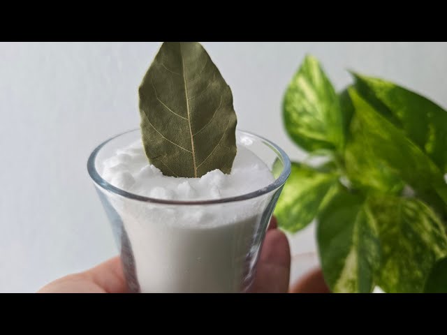 Put a bay leaf in baking soda and you will be completely delighted !