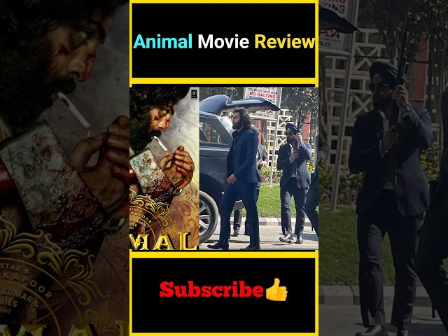 Animal Movie Review | Animal Movie Response | #factsmaava