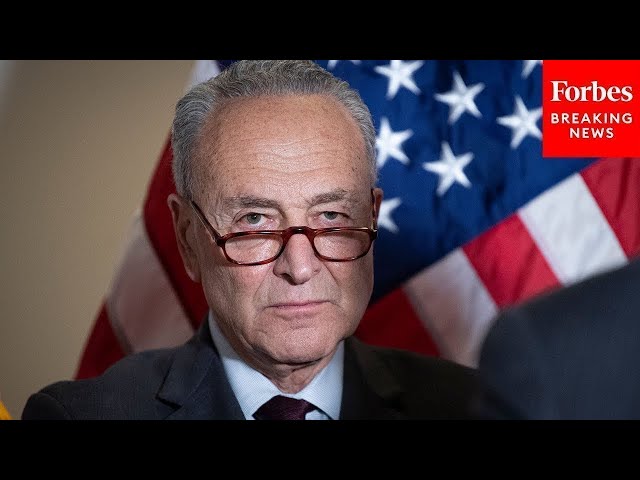 JUST IN: Chuck Schumer Asked Point Blank Why Democrats Lost The Election