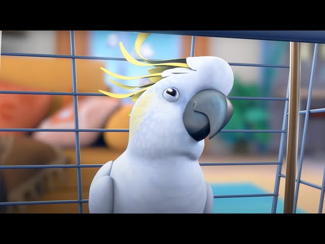 THE PARROT | The Fixies | Season 3 Compilation | Cartoons For Kids | WildBrain Fizz