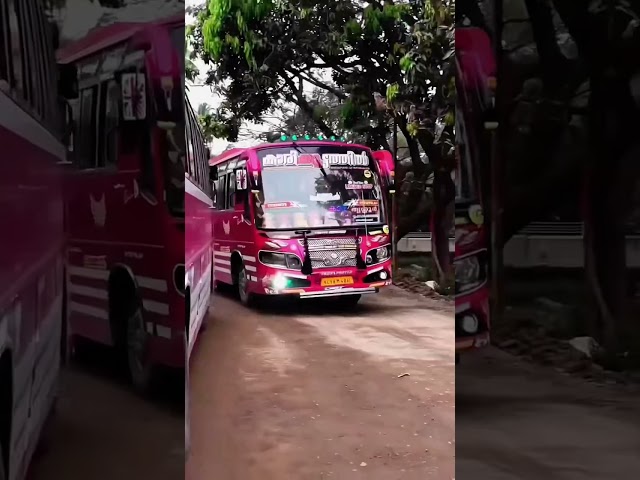 Bus Kerala | Private Bus | Kaarikkoottathil #thrissur 🔁 #ottapalam #limitedstop #vehicle_crazy