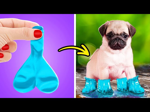 Baloon Boots for a Puppy?😱🦴 Best DIYs and Hacks for Pet Owners by TeenVee