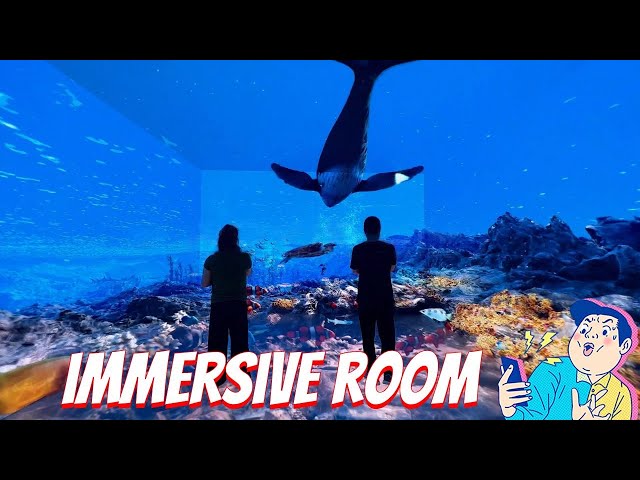 Immersive Room Revealed: A Complete Guide to 360-Degree Projection Experiences