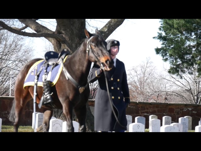 Army Special Full Honors Funeral