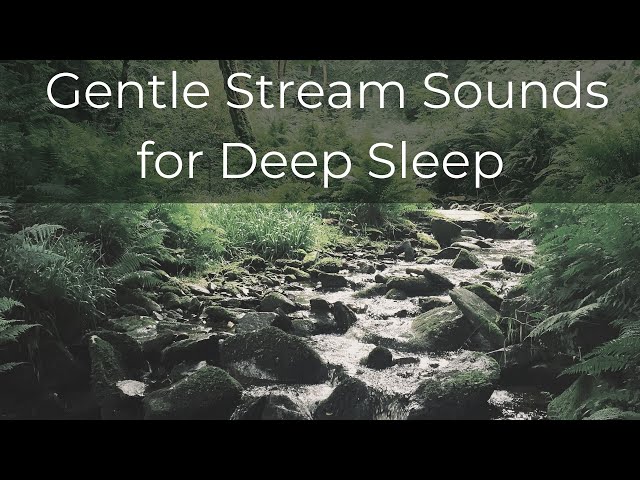 Gentle Stream | Black Screen | 10 hours of Ad Free Nature for Deep Sleep or Relaxation | No Birds