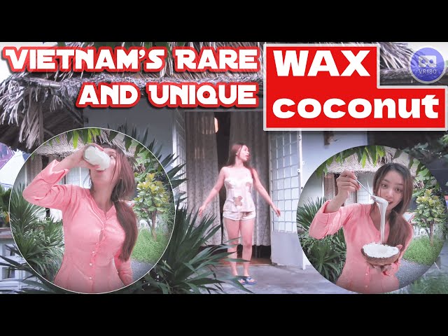 [VR 180 3D] - First Taste of the World’s Most Unique Coconut: WAX Coconut