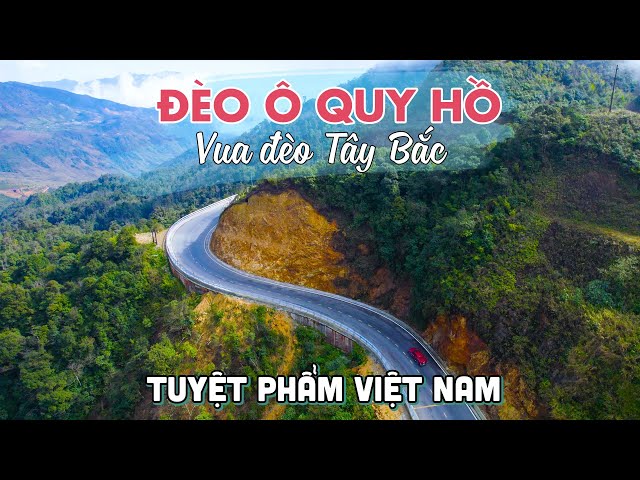 ĐÈO Ô QUY HỒ | Khám phá Tuyệt Phẩm của Du lịch Sapa và núi rừng Tây Bắc