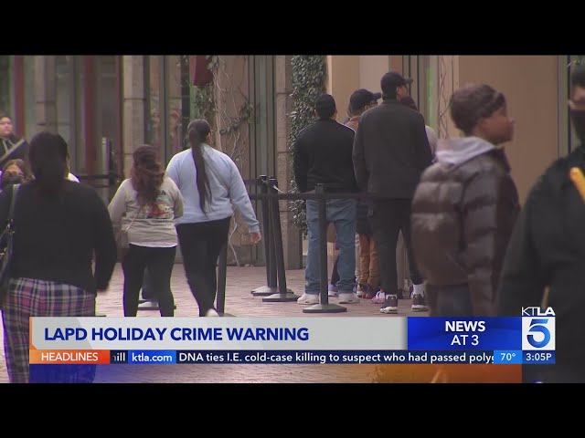 LAPD warns of dangers involving online shopping crimes