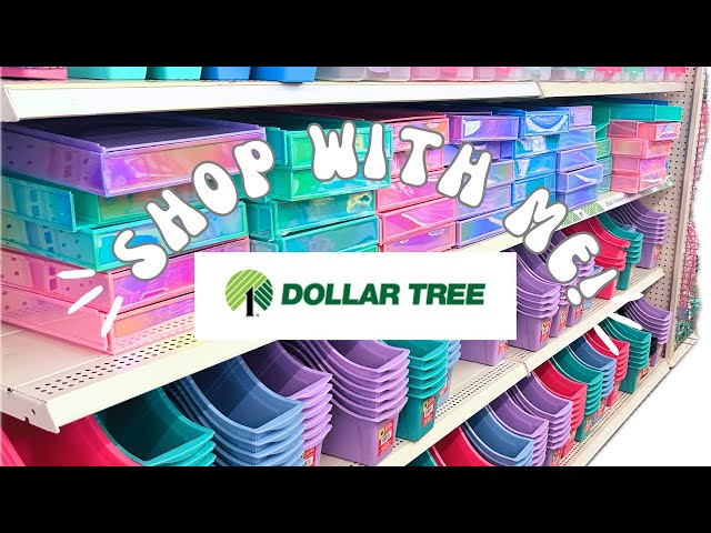 🤩DOLLAR TREE SHOP WITH ME! BACK TO SCHOOL SUPPLIES! #dollartree #shopping #backtoschool #haul #vlog