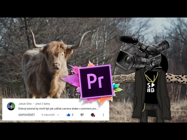 Kamera Shake v Adobe Premiere