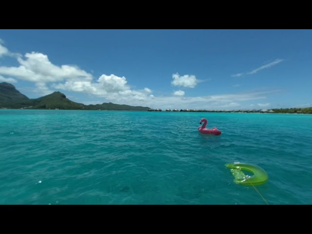 VR180 - Four Seasons Bora Bora - Bungalow Dock