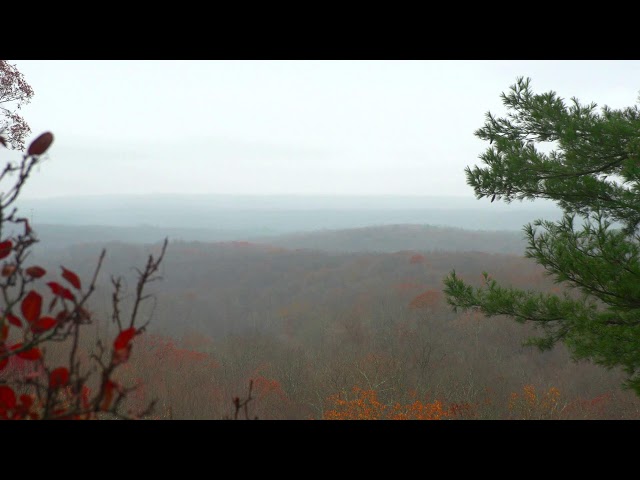 Brown County Treetop Cam Live Stream