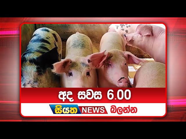 අද සවස 6.00ට සියත ප්‍රවෘත්ති බලන්න | Siyatha News Headlines