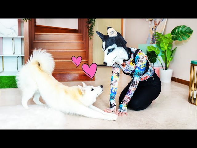 I tried to seduce my dog *PRANK on KAYA* | MiniMoochi