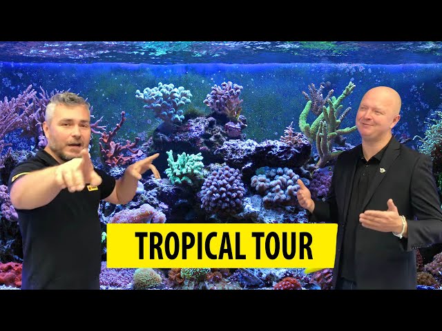 TROPICAL TOUR | Visiting aquarists/Z wizytą w Trzmielu (ENG SUB)