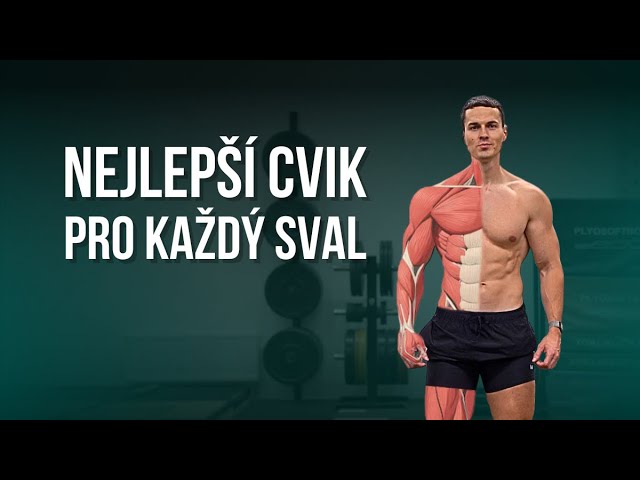 NEJLEPŠÍ CVIK PRO KAŽDÝ SVAL