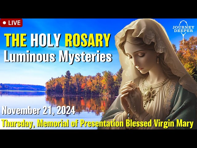 🔴 Rosary Thursday Luminous Mysteries of the Rosary November 21, 2024 Praying together