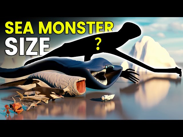 3D Sea Monsters Size Comparison | BLOOP Vs EL GRAN MAJA Vs SCP 169