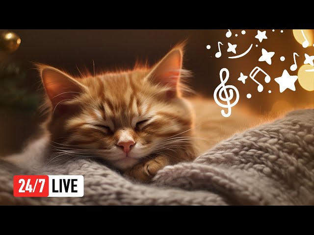 🔴 Relaxing Songs for Cats (LIVE 24/7) Calming Music for Cats Anxiety & Sleep Music