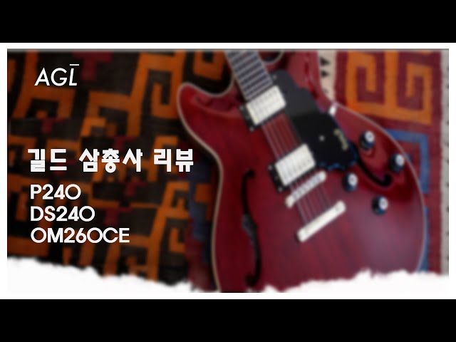 [A.GaL] 기타리뷰 - 길드 기타 삼총사 (P240, DS240, OM260CE)