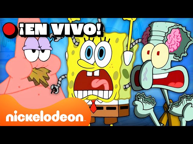 🔴EN VIVO: ¡Lo MEJOR de la Temporada 8 de SpongeBob! | Nickelodeon en Español