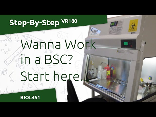 Working in a BioSafety Cabinet - Demo of Asceptic Techniques Procedure for Lab2 (BIOL451)