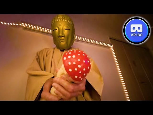 ASMR Meditation Buddha pressing a mushroom to his ear VR180 4K60P Binaural