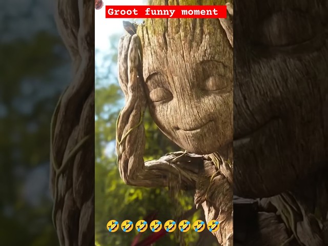 🤣🤣Groot funny moment of guardian of the galaxy #mcu #groot #marvel #avengers #guardianofthegalaxy #