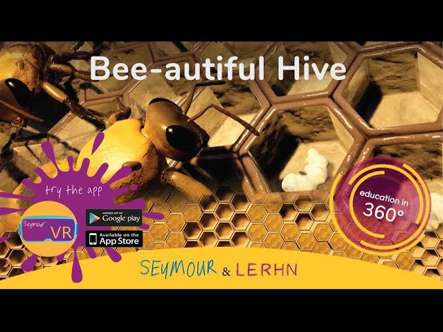 VR Fly With A Bee and Visit the Hive | 360 | VR |