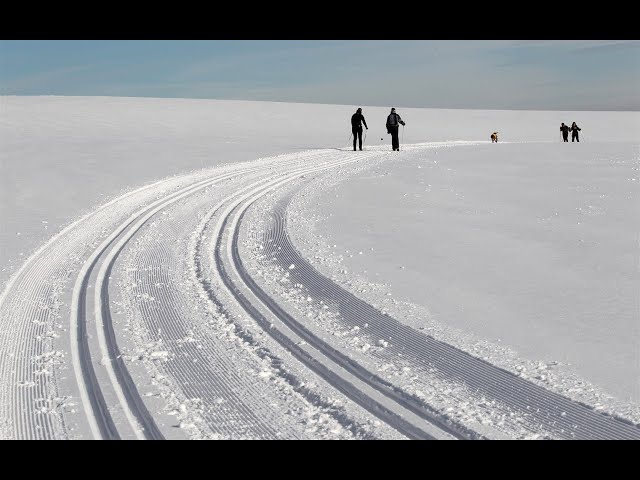 180 VR - Nove Mesto na Morave-  cross country skis