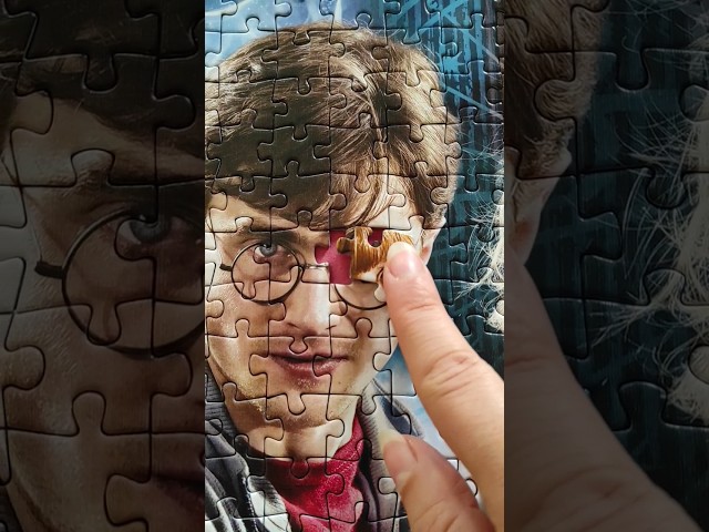 The Last Pieces🥰Harry Potter Jigsaw Puzzle Oddly Satisfying