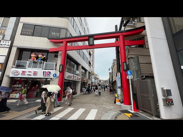 🇯🇵 KOMACHI DORI STREET IN KAMAKURA JAPAN | 🏯 TSURUGAOKA HACHIMANGU SHRINE | July 2023